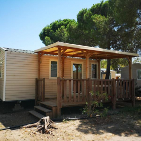 Mobile Home